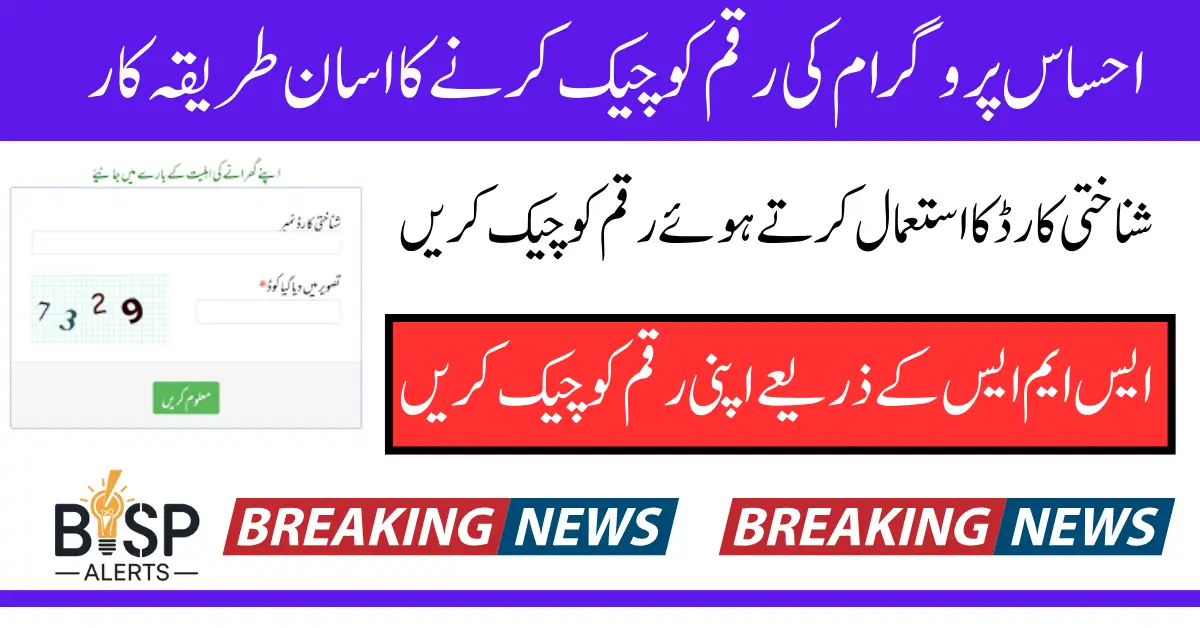 8171 Check Online Ehsaas Tracking 8171 Pass Gov Pk 2025