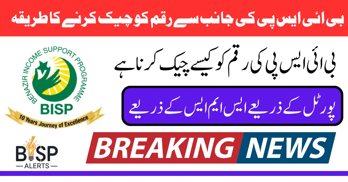 BISP 8171 Check Balance Online by CNIC Method Check Payment Latest Update