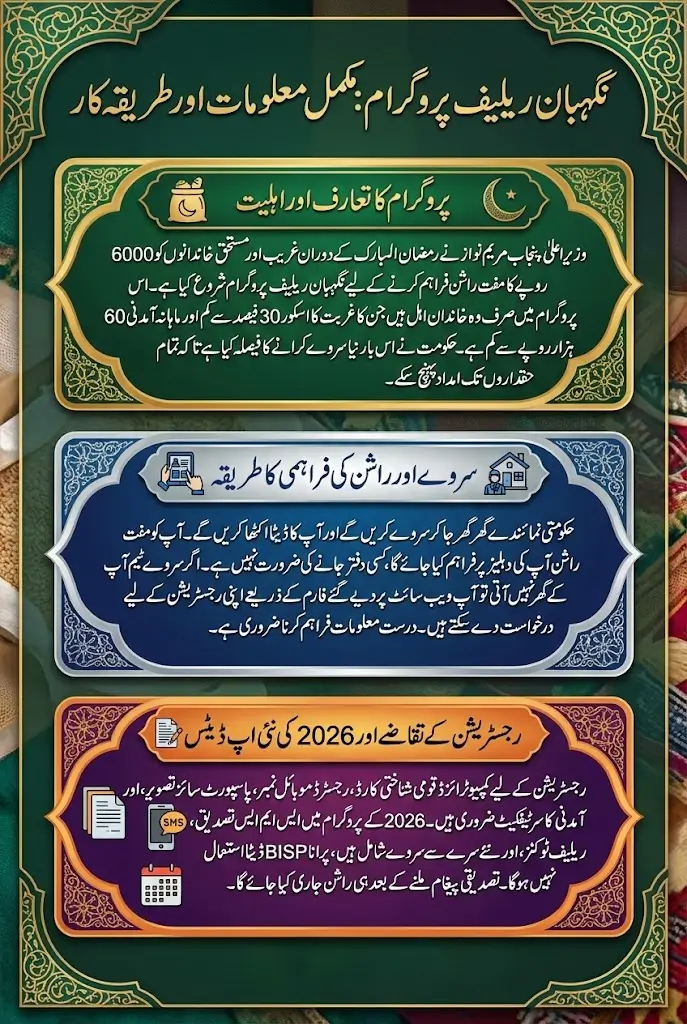 Govt Punjab Announced New Nighban Relief Program Know Full Guide 2026
