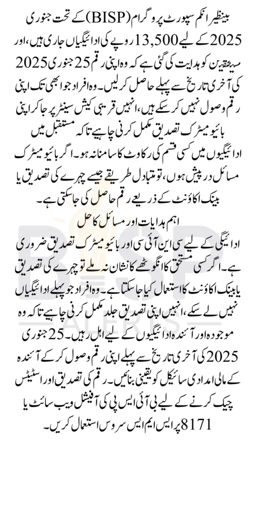 Benazir Income Support Program Payment Deadline 13500 In January 2025