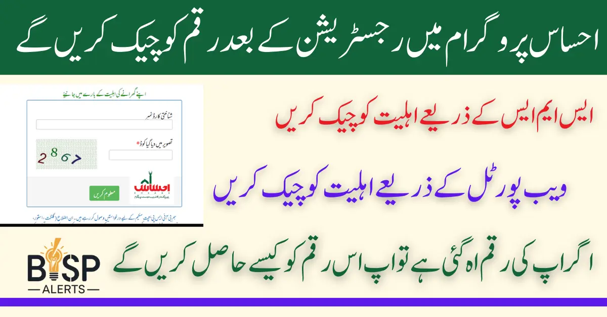 Ehsaas Program 8171 Check Your 13500 Payment Status and Verify Documents After Registration