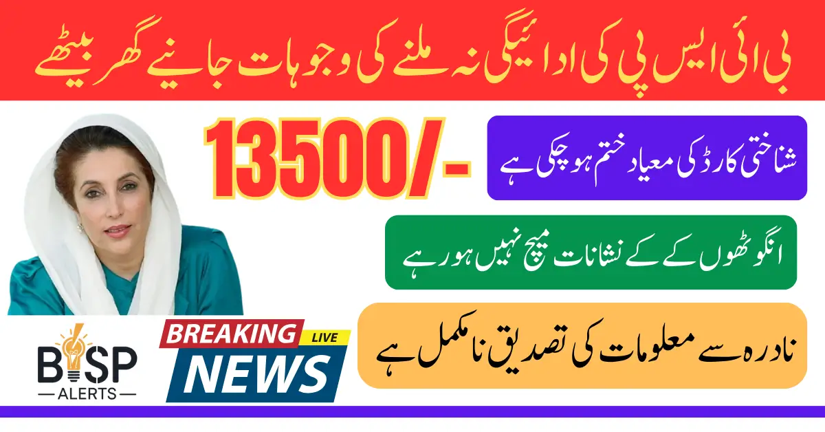 8171 BISP Payment Issues in 2025 Simple Steps to Fix All Problems Easily