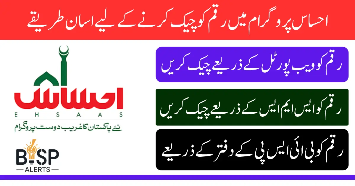 8171 Check Online CNIC Ehsaas Program 13500 Payment Know Details Step By Step