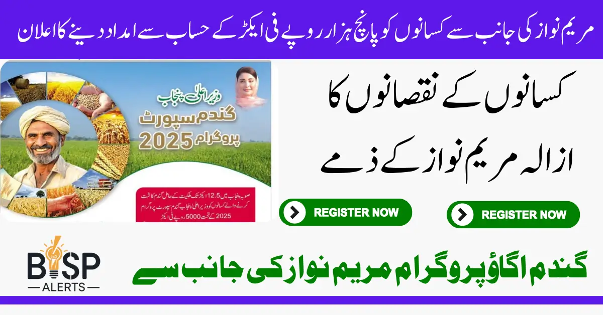 CM Punjab Wheat Support Program 2025 Complete Online Registration And Get 5000 Per Acer