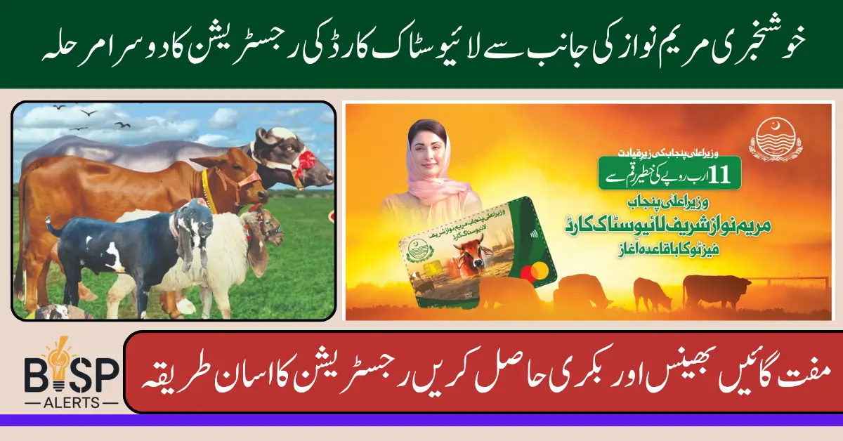 CM Punjab Free Livestock Program Phase 2 Required Documents For Registration 2025
